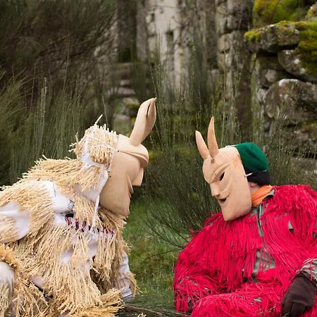 Apartamento Casa Do Sino, Moderna Perto Do Douro