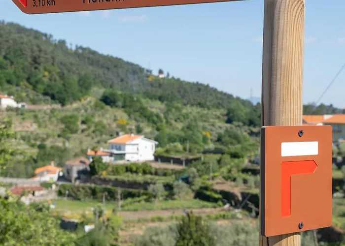 Casa Do Sino, Moderna Perto Do Douro * Tarouca