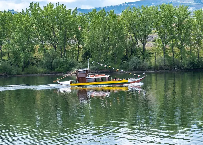 Apartment Casa Do Sino, Moderna Perto Do Douro Tarouca